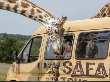 West Midland Safari Park